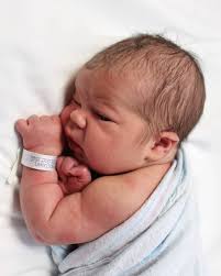 Steven Gage Robinson