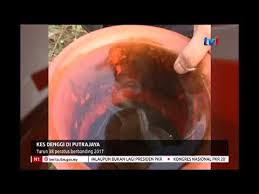 Daftar ini tidak dimaksudkan sebagai suatu daftar yang lengkap atau selalu terbarui. N1 Kes Denggi Di Putrajaya Turun 38 Peratus Berbanding 2017 18 Nov 2018 Youtube