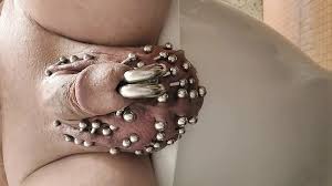 Showing of My 2x 00 Gauge Prince Albert Piercings Heavily Pierced Scrotum  Estim Play until I Cum: Gay Porn