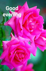 Check spelling or type a new query. 45 Good Evening Images And Quotes For The Evening Tailpic