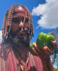 Urban farm provides organic food and education