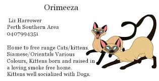Maybe you would like to learn more about one of these? Coawa Breeders