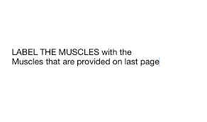 Ein dienstleistungsvertrag muss nicht zwingend schriftlich aufgesetzt werden. Muscles Of The Torso Model Anterior And Posterior View Muscles Of The Torso Model Anterior And Posterior View Muscular System Anatomy Back Region Torso Muscles Model Scapula Bones Back View Posterior