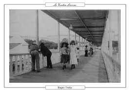 La Vecchia Livorno Immagini D Epoca In Foto E Cartoline Da Collezione Della Citta Cartoline D Epoca Dei Bagni Tr Cartoline D Epoca Immagini D Epoca Cartoline