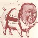 Cerberus Shoal Discography: Vinyl, CDs, & More