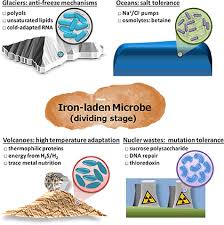 Metal kitchen rack w \/metal rods and cones differences between dna. The Human Microbiome The Origin Springerlink