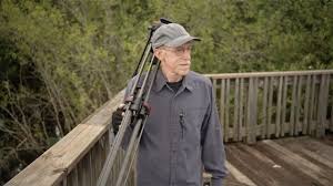 Image result for Pseudoeriosema