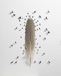 Birds Of A Feather Festival 2020 Birds Of A Feather In 2020 Feather Art Feather Painting Art Object