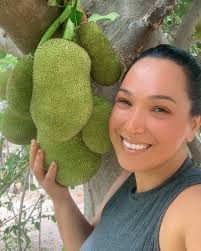 Domingando pelo sertão