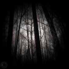 Black And White Woods Picture Dark Night Print Dark Woods Mysterious By Beneathnorthernskies 16 00 Dark Art Photography Dark Wood Dark Forest