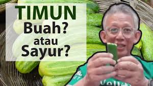 Lalu apa khasiat batu akik kecubung wulung baik it khasiat batu akik. Timun Buah Atau Sayur 20 Manfaat Timun Yang Terbaik Dr Noordin Darus Youtube