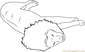 Although the lion is not the largest, fastest or most lethal animal, its position as king of beasts has rarely been challenged. The Lion Sleeps Tonight Coloring Page For Kids Free Lion Printable Coloring Pages Online For Kids Coloringpages101 Com Coloring Pages For Kids