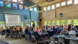 Sunday Brunch | The Monarch Butterfly: How YOU can help!