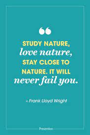Top 30 nature quotes 2021 update quotefancy from quotefancy.com i make mistakes, i am out of control and at times hard to handle. 50 Best Nature Quotes Inspiring Quotes About Mother Earth