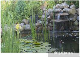 Petite cascade bassin de jardin avec galet et herbes hautes pour un style nature et décomplexé. Poster Bassin Avec Cascade En Garde Pixers Nous Vivons Pour Changer
