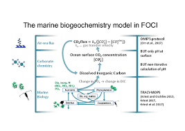 Using them for crafting and building is all very well and good. Esm Project Marine Biogeochemistry In The Flexible Ocean And Climate Infrastructure Foci