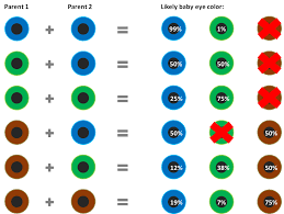 What Will Be The Color Of The Eyes Of Your Newborn Baby