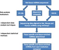The human protein atlas project can be subdivided into three efforts: The Rat Microrna Body Atlas Evaluation Of The Microrna Content Of Rat Organs Through Deep Sequencing And Characterization Of Pancreas Enriched Mirnas As Biomarkers Of Pancreatic Toxicity In The Rat And Dog