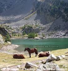 Chevaux Tourisme Lac Parc Du Mercantour