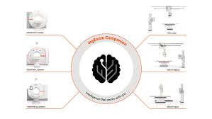 A, putra walk, jalan pp25, taman pinggiran putra, seri kembangan, 43300, malaysia. Kz3plr1dg4h7dm