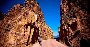 M&A Insights H1 2024: The Recovery Continues