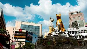 Why not consider to be a part of the buzzing what about kuching (wak) 2020 festival this coming october. September 2019 Kuching Sarawak Kuching Stock Footage Video 100 Royalty Free 1038541493 Shutterstock