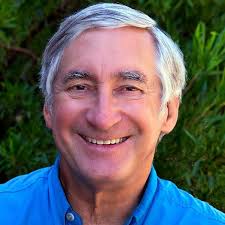 Amazon.com: The Conservation of Bees, Volume 18 (Linnean Society  Symposium): 9780124797406: Williams, Ingrid H., Matheson, Andrew, Buchmann,  Stephen L., O'Toole, Christopher, Westrich, Paul: Books