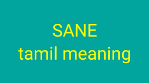 Sack meaning in tamil with example. Sane Tamil Meaning Sasikumar Youtube