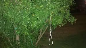 Stanford university's pristine campus is located in california's bay area, about 30 miles from san four of stanford university's seven schools offer undergraduate and graduate coursework, and the. Stanford University Investigating Noose Found On Campus
