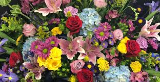 Maybe you would like to learn more about one of these? Seasons Florist Garden Center Dracut Ma