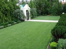 Compadre zoysia grass seeding rate & planting time new turf: Pin On Diamond Cuts Landscapes Llc