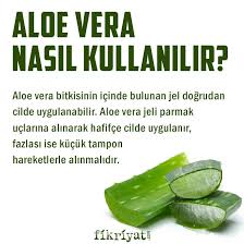 Aloe Vera Faydalari Nelerdir Aloe Vera Cilde Ve Yuze Surulur Mu Galeri Fikriyat Gazetesi
