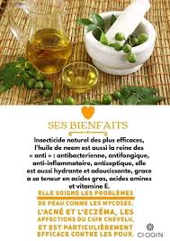 Les Bienfaits De L Huile De Neem O Naturel By Laurence Facebook