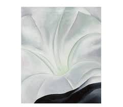 I used light green and violet on medium grey paper. Georgia O Keeffe Beautiful Flowers Or Provocative Anatomy Double Scoop