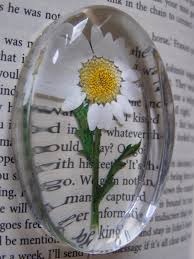 Sep 17, 2020 · enjoy the dark green leaves and white flowers from afar, like atop a bookshelf, if you have pets or young children. Don T Let Pressed Flowers Lose Their Colour Flower Press