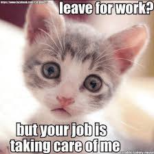 We did not find results for: International Cat Day 2018 Quotes Top Wishes And Sayings For The Occasion Others