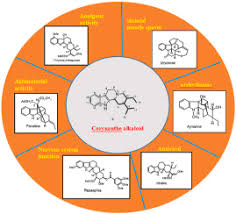 Image result for Corynanthe