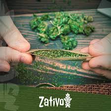 We did not find results for: All The Ways To Grind Weed Without A Weed Grinder Zativo