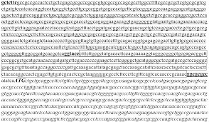 Tan kim kee and his partner. Ep2670855b1 Tailored Oils Produced From Recombinant Oleaginous Microorganisms Google Patents