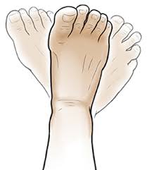 • put a rubber exercise band around. Foot And Ankle Exercises Ankle Circles