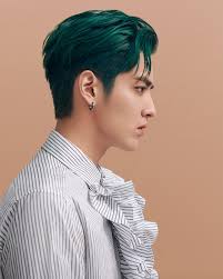 For the latest news, follow us on twitter, facebook, and instagram. Kris Wu Wears The Men S Fall Winter 2020 Collection Louis Vuitton