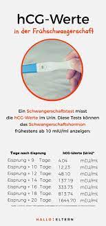 Wann hat bei euch der test positive angezeigt eisprung +? Schwangerschaftstest Ab Wann