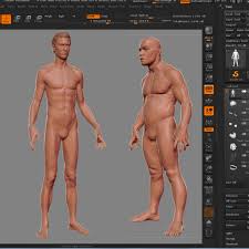 May 10, 2021 · anatomy of the male reproductive system scrotum. Male Anatomy Bundle 2 Ztl Storymold