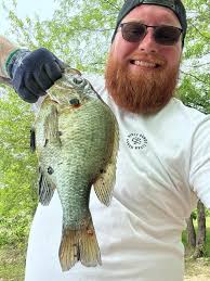 Horse riding near Lake Michigan