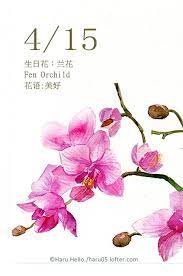 每日一花4 15 生日花 haru hello watercolor flowers flower drawing flower painting