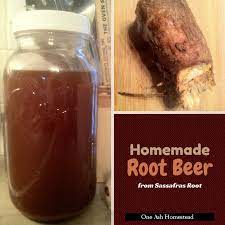 Homemade Root Beer From Sassafras Root
