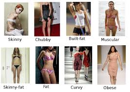 Females Of The Vesy What Body Type Is Yours Closest To