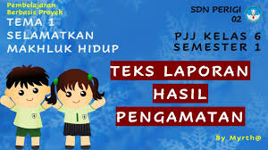 Materi Pjj Kelas 6 Teks Laporan Hasil Pengamatan Youtube