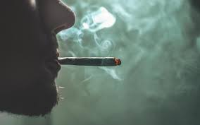 Aug 21, 2018 · view tilray, inc. Heavy Cannabis Smokers Can Have Badly Damaged Lungs For Life Study Rnz News