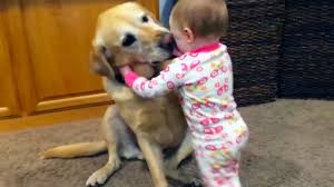Adorable Babies Playing With Dogs And Cats Funny Babies Compilation 2018 Youtube Funny and cute babies and animals!
